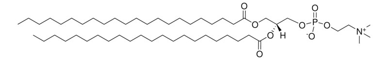 Merck 22:0 PC