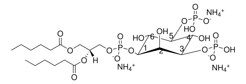 Merck 06:0 PI(3,5)P2