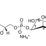 Merck 06:0 PI(3,5)P2