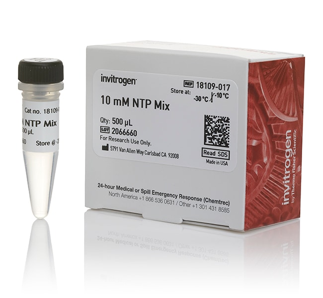 Thermo Fisher Scientific NTP Mix (10 mM)