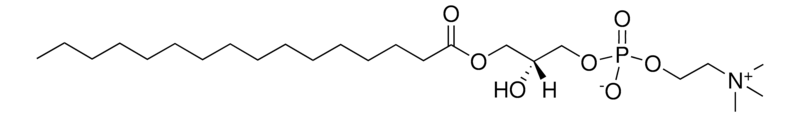 Merck 16:0 Lyso PC