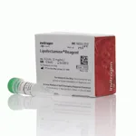 Thermo Fisher Scientific Lipofectamine Transfection Reagent, 0.3 mL
