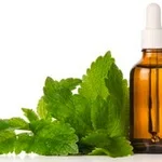 Merck MELISSA OIL NATURAL, FG, PRODUCT OF ESS&