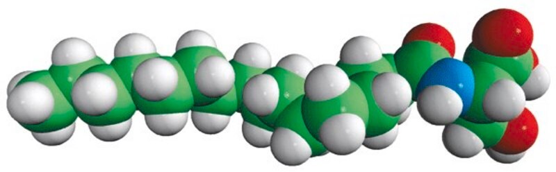 Merck N-16:0 L-Serine