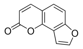 Merck ANGELICIN