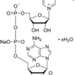 Merck B-NICOTINAMIDE ADENINE DINUCLEOTIDE &