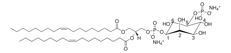 Merck 18:1 PI(5)P