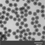 Merck GOLD NANOPARTICLES, 10 NM DIAMETER, SIL&