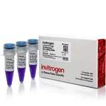 Thermo Fisher Scientific BlueJuice Gel Loading Buffer (10X)