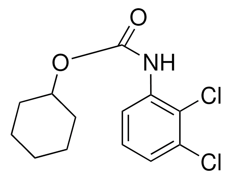 Merck CYCLOHEXYL N-(2,3-DICHLOROPHENY-