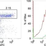 Thermo Fisher Scientific F(ab`)2-Donkey anti-Rabbit IgG (H+L) Secondary Antibody, PE, eBioscience