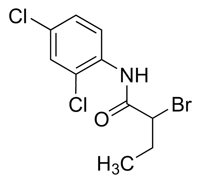 Merck 2-Bromo-N-(2,4-dichlorophenyl)butanamide