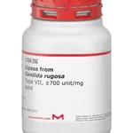 Merck LIPASE TYPE VII FROM CANDIDA RUGOSA