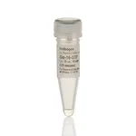 Thermo Fisher Scientific Bio-16-UTP (10 mM)