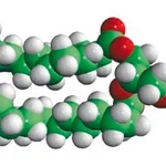 Merck 16:0-12:0 NBD PC