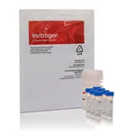 Thermo Fisher Scientific EnzChek Ultra Amylase Assay Kit