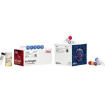 Thermo Fisher Scientific Bac-to-Bac N-His TOPO Cloning Kit