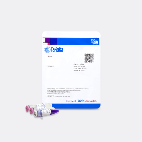 Takara KpnI restriction enzyme