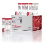 Thermo Fisher Scientific TA Cloning Kit, with pCR2.1 Vector, without competent cells, 20 reactions
