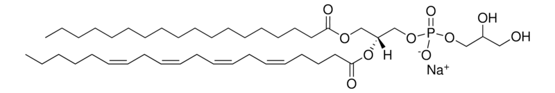 Merck 18:0-20:4 PG