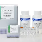 Intron SMART™ BCA Protein Assay Kit