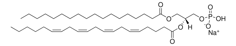 Merck 18:0-20:4 PA