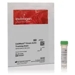 Thermo Fisher Scientific CellMask Green Actin Tracking Stain, 1 x 60 Assays