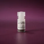 Thermo Fisher Scientific Pierce Anti-HA Magnetic Beads, 1 mL