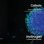 Thermo Fisher Scientific Celleste 3D Analysis Module, network license (includes one seat)