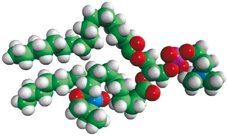 Merck 16:0-10 Doxyl PC