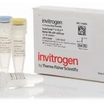 Thermo Fisher Scientific SuperScript IV VILO Master Mix, Each