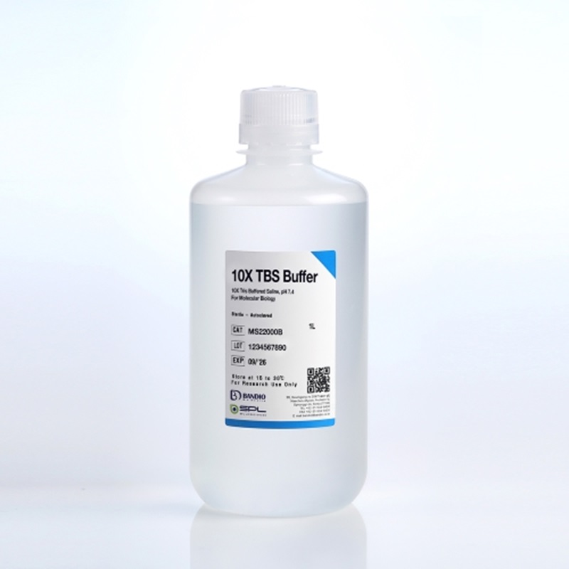 BANDIO    TBS(Tris Buffered Saline) solution