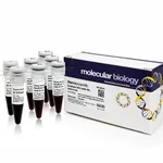 Thermo Fisher Scientific GeneRuler DNA Ladder Mix, ready-to-use