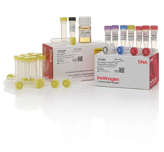 Thermo Fisher Scientific Zero Blunt TOPO PCR Cloning Kit for Sequencing, with One Shot MAX Efficiency DH5α-T1<sup>R</sup> E. coli