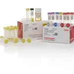 Thermo Fisher Scientific Zero Blunt TOPO PCR Cloning Kit for Sequencing, with One Shot MAX Efficiency DH5α-T1<sup>R</sup> E. coli