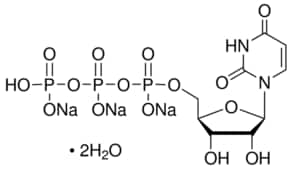 Merck URIDINE 5``-TRIPHOSPHATE TRISODIUM&