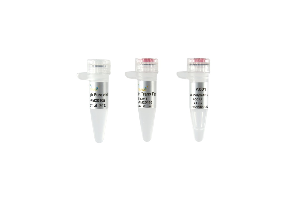 TransFast® Taq DNA Polymerase (with 2.5 mM dNTPs)
