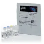 Thermo Fisher Scientific Fluo-4 Calcium Imaging Kit