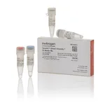 Thermo Fisher Scientific GeneArt Gibson Assembly EX Master Mix, 10 Reactions