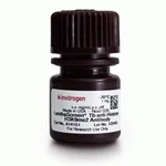 Thermo Fisher Scientific LanthaScreen Tb-anti-Histone H3K9me2 Antibody, 1 mg