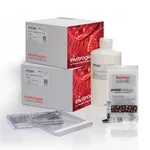 Thermo Fisher Scientific NuPAGE Tris-Acetate Resupply Pack, 3 to 8%, WedgeWell format, 10-well, 1 Kit