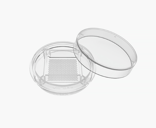 StemFIT 3D-Plastic