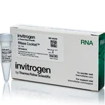 Thermo Fisher Scientific RNase Cocktail Enzyme Mix, 1 mL