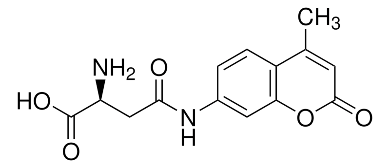 Merck L-Aspartic acid beta-(7-amido-4-methylcoumarin)