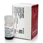 Thermo Fisher Scientific Dynabeads Protein G for Immunoprecipitation, 1 mL