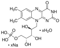 Merck RIBOFLAVIN 5``-MONOPHOSPHATE SODIUM SALT&