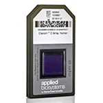 Thermo Fisher Scientific Clariom D Array, human