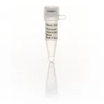 Thermo Fisher Scientific T3 promoter Sequencing Primer, 24-mer