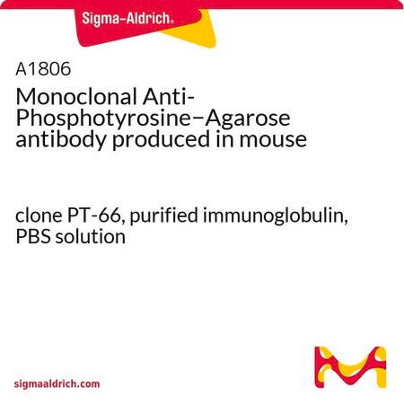 Merck Monoclonal Anti-Phosphotyrosine-Agarose antibody produced in mouse