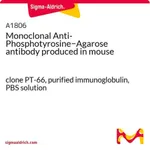 Merck Monoclonal Anti-Phosphotyrosine-Agarose antibody produced in mouse